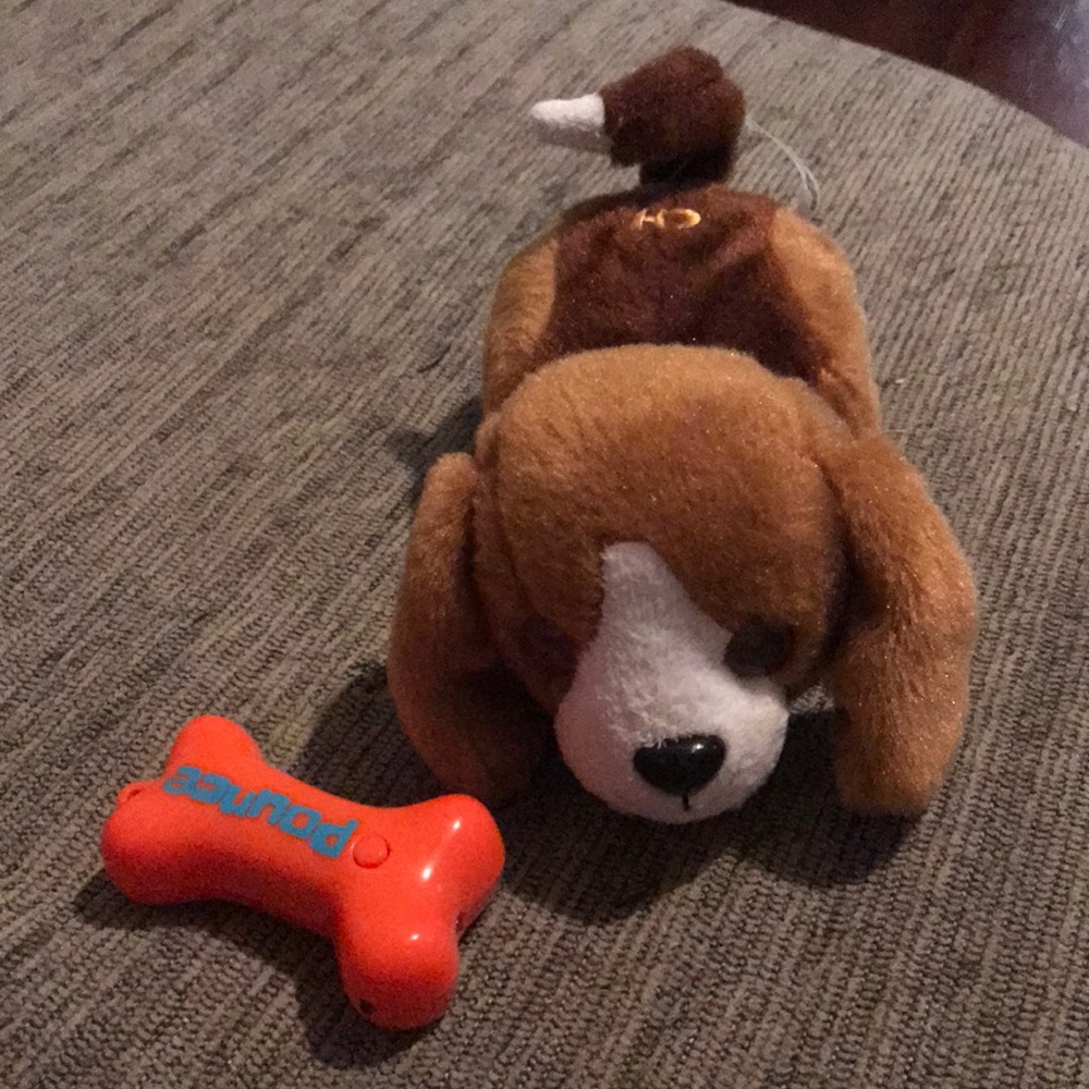 Remote control dog